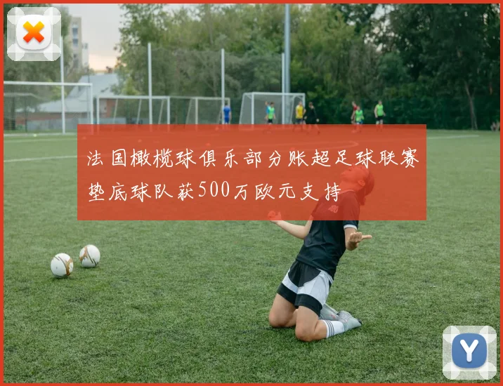 法国橄榄球俱乐部分账超足球联赛垫底球队获500万欧元支持