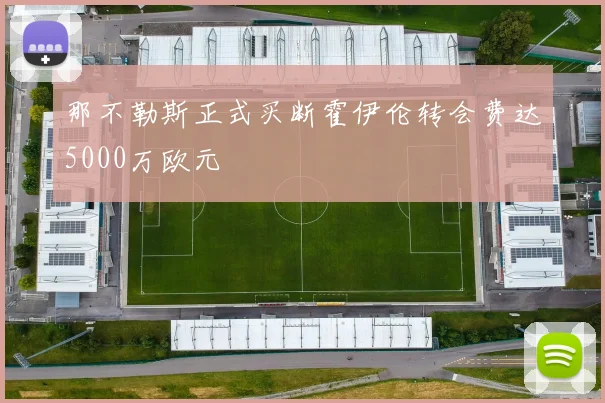 那不勒斯正式买断霍伊伦转会费达5000万欧元