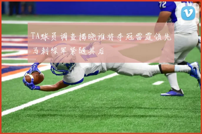 TA球员调查揭晓谁将夺冠雷霆领先马刺绿军紧随其后